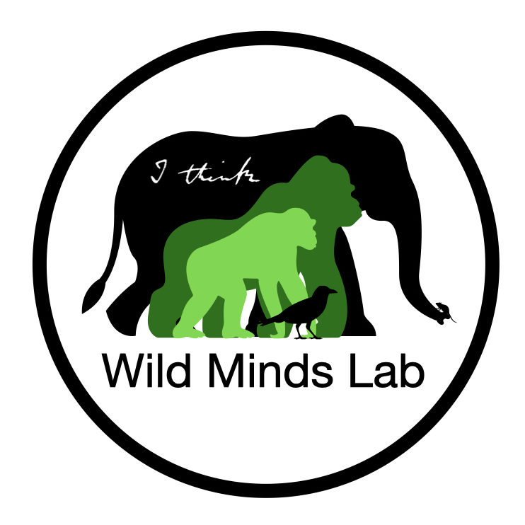 Grants & Research programs – Wild Minds Lab